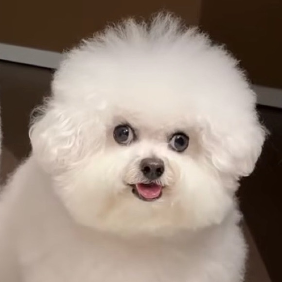 soondrelicious